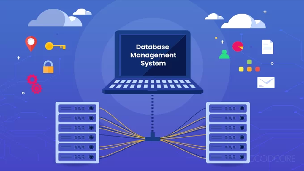 Database Management System